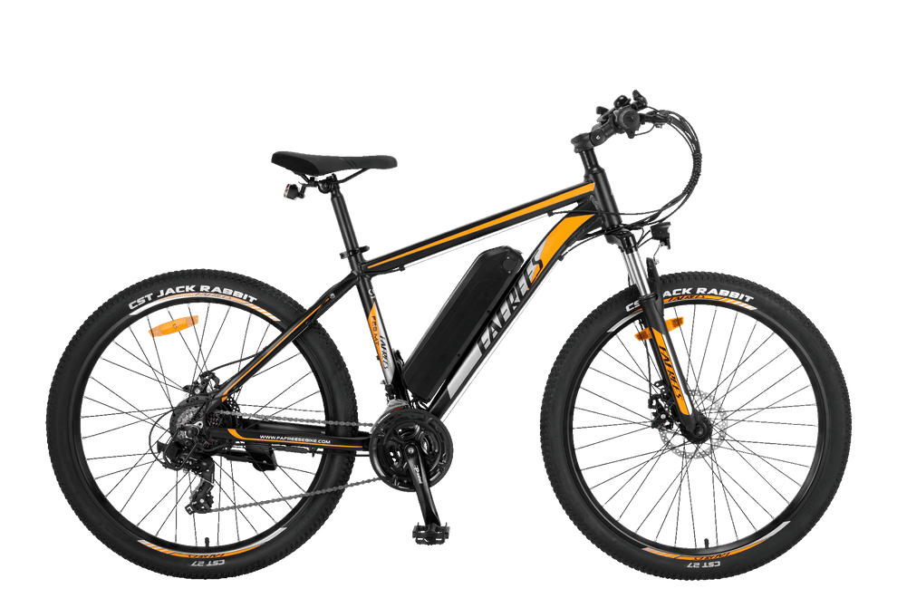 FAFREES F28 MT Electric Bike