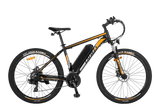 FAFREES F28 MT Electric Bike