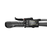 DUOTTS C29 Max Electric Bike, 250W Motor, 48V 18Ah
