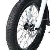 PHILODO Traveller Family & Cargo Electric Bike