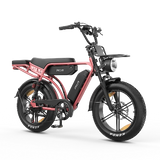 PIXAR® M9 Elektrinis Dviratis 2 × 48V17.5Ah