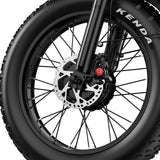 Apefox RH20 Electric Bike  500W*2