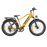 ENGWE E26 16AH Electric  Bike 45km/h