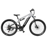 DUOTTS E29 Elektrinis Dviratis, Shimano Hidrauliniai Diskiniai Stabdžiai