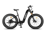 Fafrees F26 CarbonX Elektrinis Dviratis