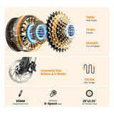 Touroll U2 Pro Electric Bike, 750W Peak Motor, 48V 15Ah