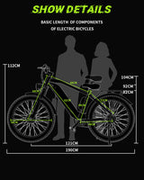 DUOTTS F26 PRO 750 W*2 Electric Bike