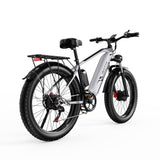DUOTTS F26 PRO 750 W*2 Electric Bike