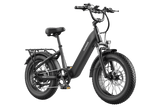 FAFREES F20 Rover Electric Bike 250W