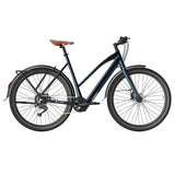 Fafrees F700W Elektrinis Dviratis 100km