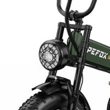 Apefox RH20 Electric Bike  500W*2