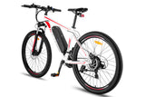 FAFREES F28 MT Electric Bike