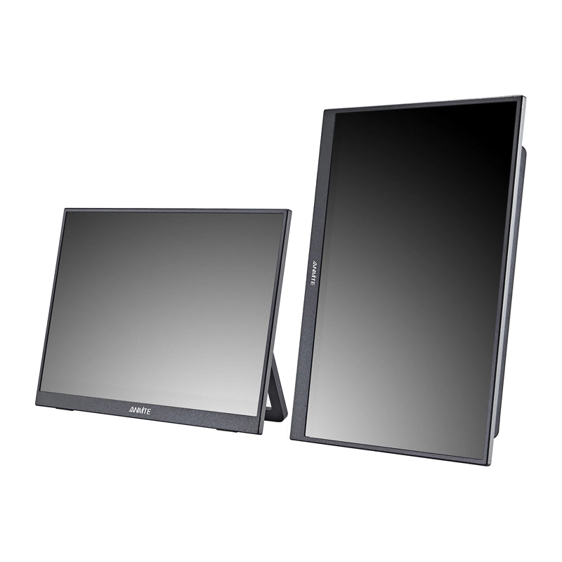 ANMITE A160W03H 16" Portable Monitor