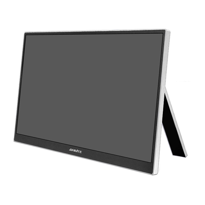 ANMITE A160W04 16" Portable Monitor