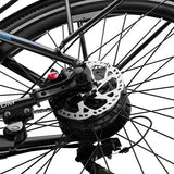 DUOTTS C29 Max Electric Bike, 250W Motor, 48V 18Ah