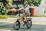 Fafrees F20 Flex Electric Bike 36V 25Ah