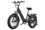 FAFREES F20 Rover Electric Bike 250W