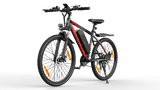 VARUN M27-1 elektrinis dviratis 250W