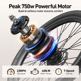 AAIRSK SU7 ELECTRIC CITY BIKE