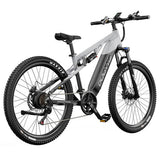 DUOTTS E29 Elektrinis Dviratis, Shimano Hidrauliniai Diskiniai Stabdžiai