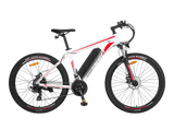 FAFREES F28 MT Electric Bike