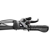 DUOTTS C29 Max Electric Bike, 250W Motor, 48V 18Ah