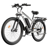 FENGQS Q8 elektrinis dviratis, 750W, 50 km/h, hidrauliniai diskiniai stabdžiai