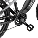 DUOTTS E29 Elektrinis Dviratis, Shimano Hidrauliniai Diskiniai Stabdžiai