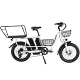 PHILODO Traveller Family & Cargo Electric Bike