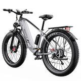 DUOTTS F26 Lite elektrinis dviratis, 500 W variklis, 48 V 18 Ah