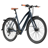 Fafrees F700W Elektrinis Dviratis 100km
