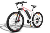 FAFREES F28 MT Electric Bike