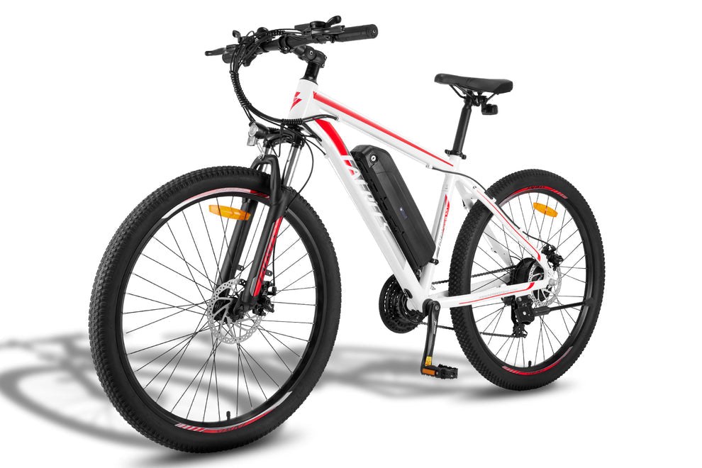 FAFREES F28 MT Electric Bike