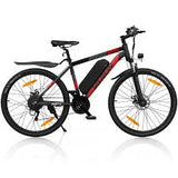 VARUN M27-1 elektrinis dviratis 250W