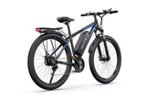 DUOTTS C29 Pro Electric Bike 750W 15Ah