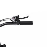 ONESPORT OT12 Electric Bike, 250W Motor, 36V 13Ah