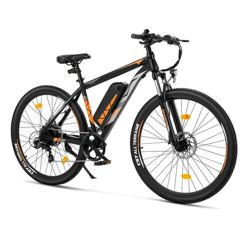 Touroll U2 Pro Electric Bike, 750W Peak Motor, 48V 15Ah