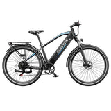 DUOTTS C29 Max Electric Bike, 250W Motor, 48V 18Ah