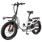 FAFREES F20 X-MAX 30Ah Electric Bike