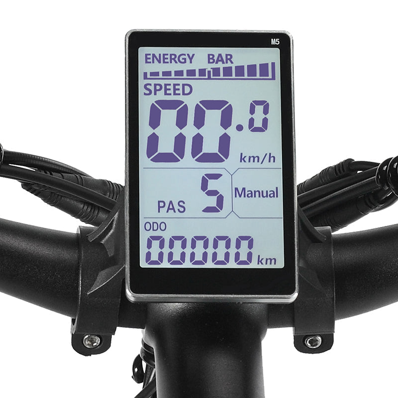 PHILODO H7 Pro Elektrinis Dviratis 1000W